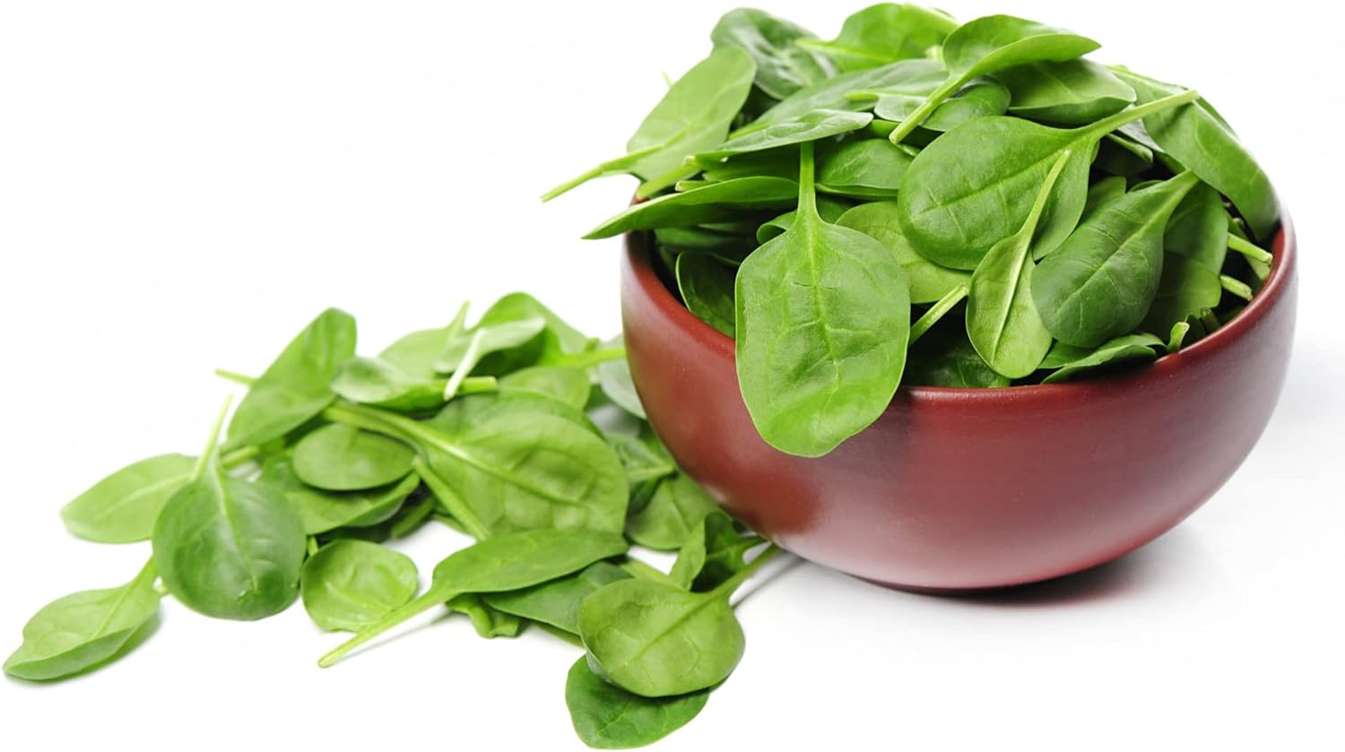 HERBAL AGE Spinach Seeds Plants, Grow Your Own Herb Garden Kit, ~200 Seed Box, Salad Herbs Seeds for Planting UK, Veg Plant Gardening Gift for Men, Women, Kids, Seeds to Plant Outdoor & Indoor