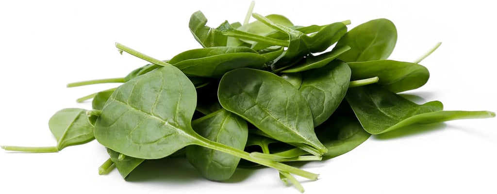 HERBAL AGE Spinach Seeds Plants, Grow Your Own Herb Garden Kit, ~200 Seed Box, Salad Herbs Seeds for Planting UK, Veg Plant Gardening Gift for Men, Women, Kids, Seeds to Plant Outdoor & Indoor