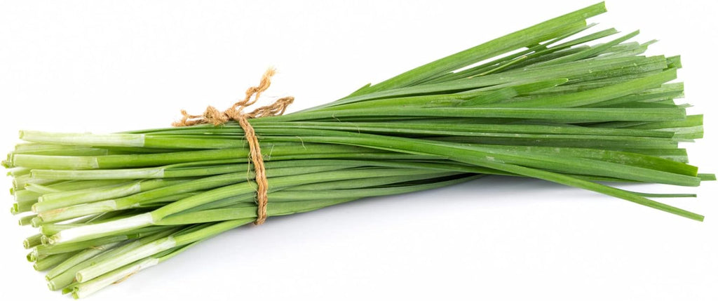 HERBAL AGE Chives Seeds Plants, Grow Your Own Herb Garden Kit, ~750 Seed Box, Salad Herbs Seeds for Planting UK, Veg Plant Gardening Gift for Men, Women, Kids, Seeds to Plant Outdoor & Indoor