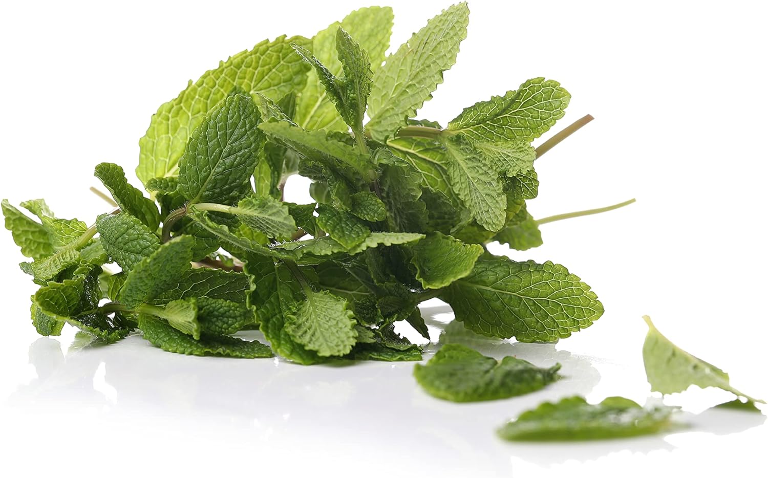 mint seeds on plant Premium Mint Seeds – Herbal Age
