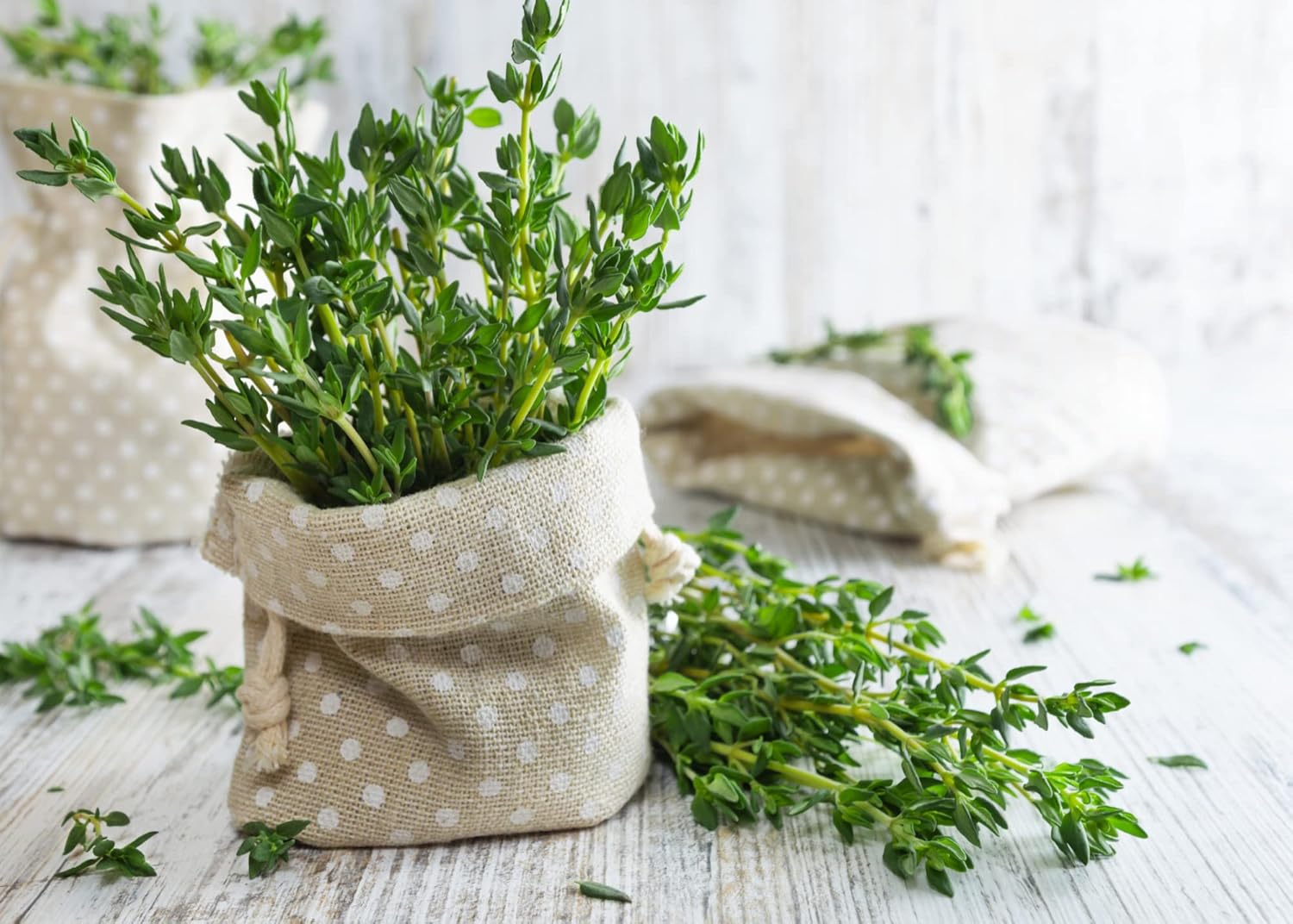 outdoor herb garden seeds Premium Thyme Seeds – Herbal Age