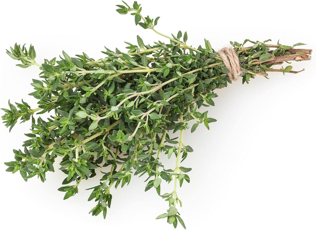 HERBAL AGE Thyme Seeds Plants, Grow Your Own Herb Garden Kit, ~900 Seed Box, Salad Herbs Seeds for Planting UK, Veg Plant Gardening Gift for Men, Women, Kids, Seeds to Plant Outdoor & Indoor