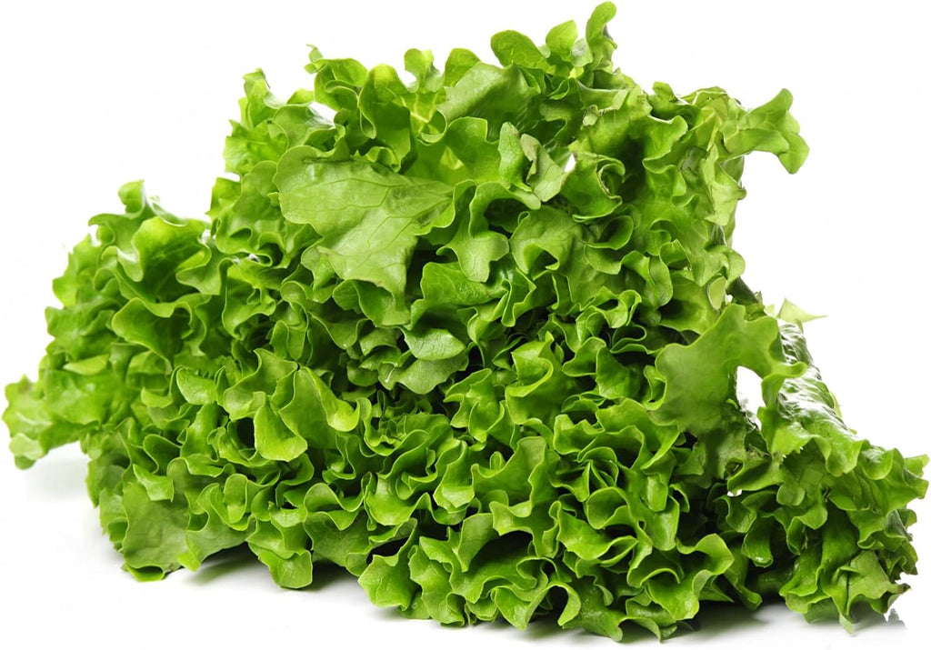 HERBAL AGE Lettuce Seeds Plants, Grow Your Own Herb Garden Kit, ~900 Seed Box, Salad Herbs Seeds for Planting UK, Veg Plant Gardening Gift for Men, Women, Kids, Seeds to Plant Outdoor & Indoor