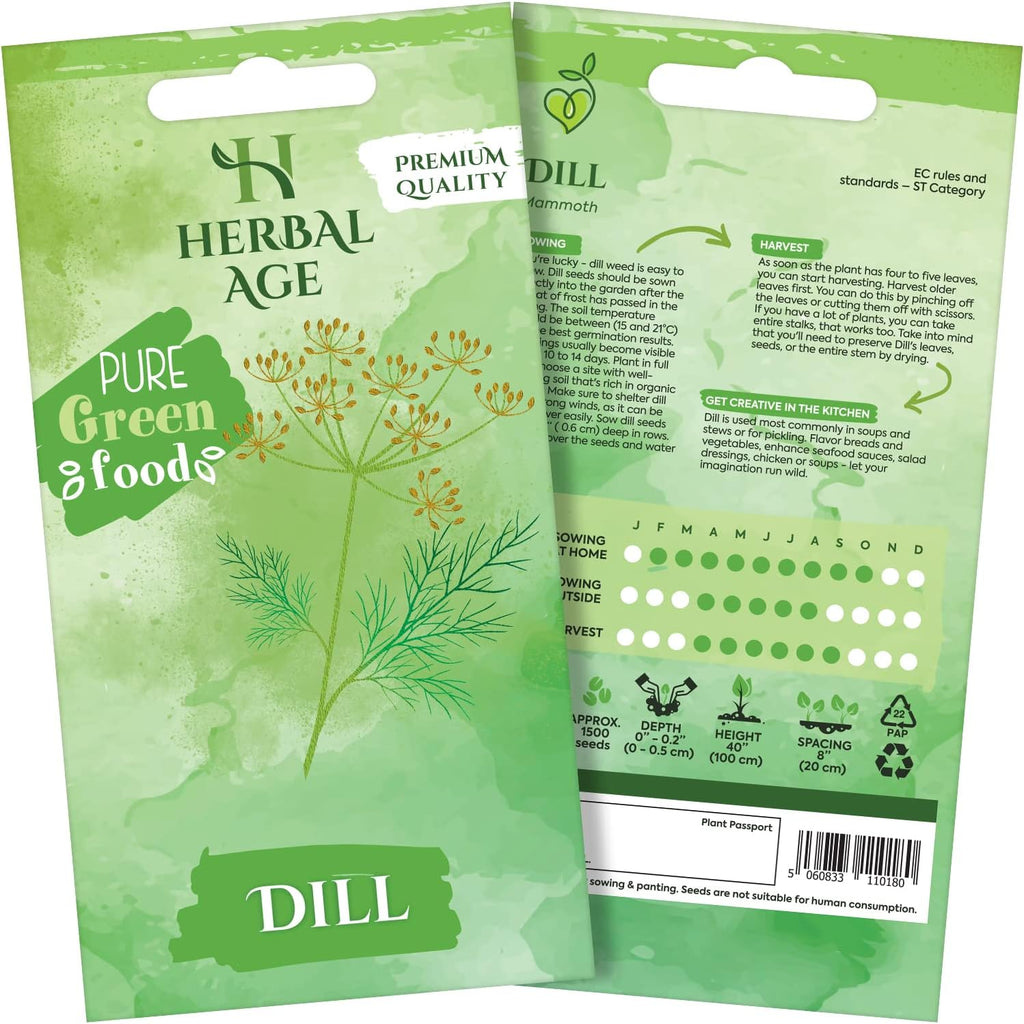 HERBAL AGE Dill Seeds Plants, Grow Your Own Herb Garden Kit, ~500 Seed Box, Salad Herbs Seeds for Planting UK, Veg Plant Gardening Gift for Men, Women, Kids, Seeds to Plant Outdoor & Indoor