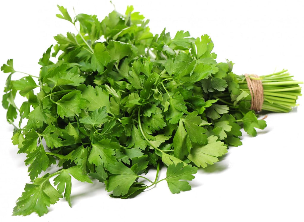 HERBAL AGE Parsley Seeds Plants, Grow Your Own Herb Garden Kit, ~900 Seed Box, Salad Herbs Seeds for Planting UK, Veg Plant Gardening Gift for Men, Women, Kids, Seeds to Plant Outdoor & Indoor