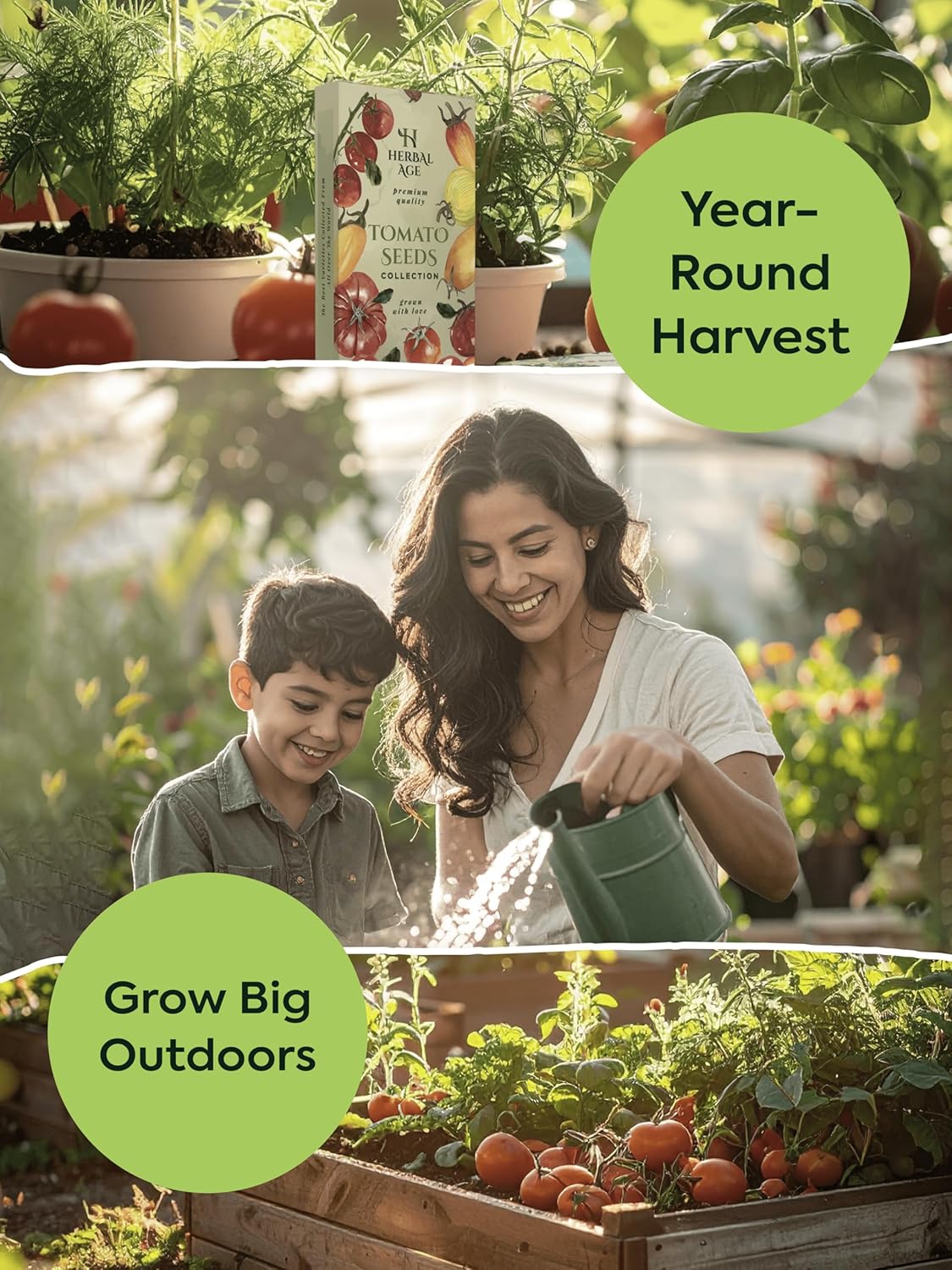 Grow Your Own Herbs & Tomatoes – 26 Plants Varieties of Garden Seeds, 9,200+ Winter Seeds Kit for Planting UK, Allotment & Gardening Gift Ideas – Unusual Christmas Gifts for Women, Men or Couples