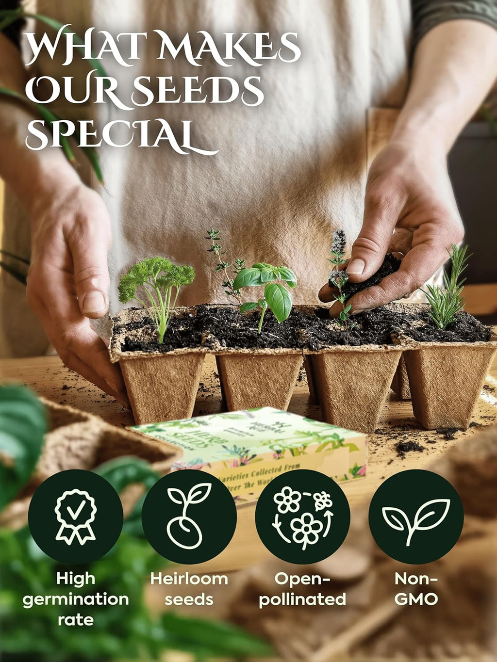 Grow Your Own Kits - 12 Vegetable Plants Seed Box: Courgette, Chilli, Tomato Seeds, 5100 Vegetable Seeds for Planting UK - Unusual Gardening Gifts for Women & Garden Gifts for Men, Allotment Gifts