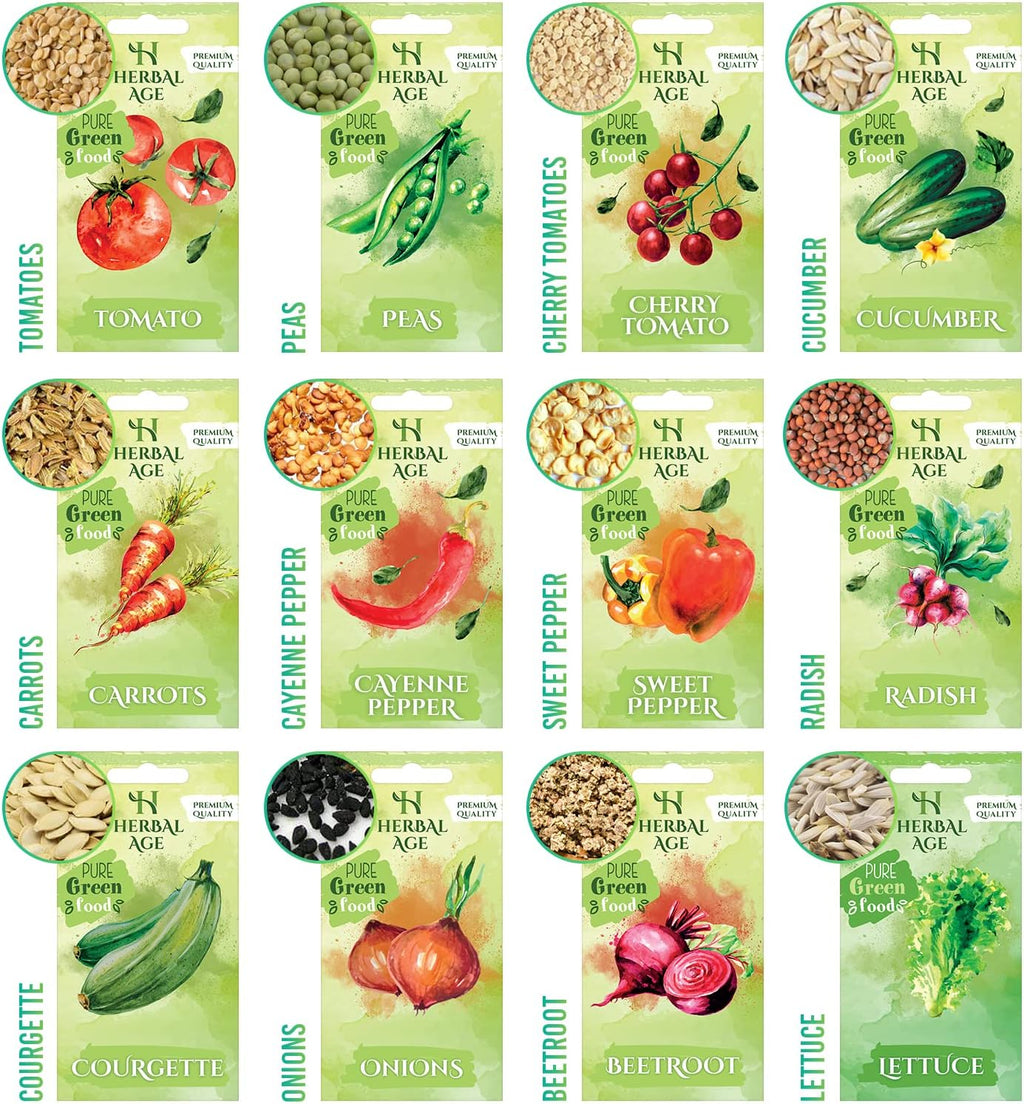 Grow Your Own Kits - 12 Vegetable Plants Seed Box: Courgette, Chilli, Tomato Seeds, 5100 Vegetable Seeds for Planting UK - Unusual Gardening Gifts for Women & Garden Gifts for Men, Allotment Gifts