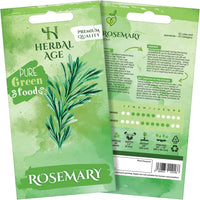 HERBAL AGE Rosemary Seeds Plants, Grow Your Own Herb Garden Kit, ~25 Seed Box, Salad Herbs Seeds for Planting UK, Veg Plant Gardening Gift for Men, Women, Kids, Seeds to Plant Outdoor & Indoor