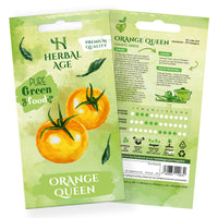 Premium Orange Queen Tomato Seeds