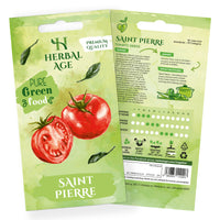 Premium Saint Pierre Tomato Seeds